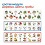 Комплект "Природные богатства России с РобоМышью" (4 робомыши) Learning Resources MS0104 875512622