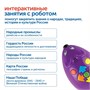 Комплект для группы "Национальный культурный код" (с РобоМышью) Learning Resources MS0093 754745327