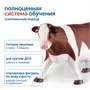 Модуль "Животные фермы" Learning Resources MS06941 836764661