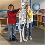 Напольный пазл "Скелет" (122см., 15 элементов) Learning Resources LER3332 1120998462