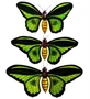 46-005 Панно «Бабочки» (о.Бали) 366233150