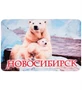 МТ- 007/04-C Магнит «Новосибирск» 798247507
