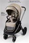 Коляска детская 2 в 1 Amarobaby Genius, бежевый AB25-10GENIUS/03
