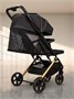 Коляска прогулочная Amarobaby, Route, чёрный/золотой AB23-10ROUTE/0929
