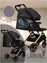 Коляска прогулочная Amarobaby, Route, чёрный/золотой AB23-10ROUTE/0929