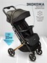 Коляска прогулочная Amarobaby, Route, чёрный/золотой AB23-10ROUTE/0929
