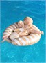 Круг детский для обучения плаванию Amarobaby Aquacoach, бежевый AB26-19A/03