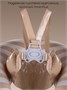 Круг детский для обучения плаванию Amarobaby Aquacoach, бежевый AB26-19A/03