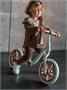 Беговел двухколесный Amarobaby Viento AB25-34VT/3303