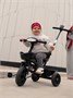 Велосипед детский трехколесный с ручкой Amarobaby Legend, черный AB22-36LG/09