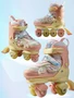 Ролики Amarobaby Magic многофункциональные 3 в 1 со светящимися колесами, желтый/коралловый АВ25-35MC/0424-27