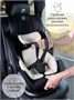 Автокресло детское AMAROBABY Favorite ISOFIX с усиленной боковой поддержкой, группа 0+/1/2/3, (чёрный/графит) AB24-20FAV/0910