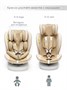 Автокресло детское AMAROBABY CHAMPION, Isofix класс D, группа 0+/1/2/3 AMARO-2008CH-Be