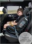 Автокресло детское AMAROBABY ST-3, Isofix класс D, группа 0+/1/2/3 AMARO-2003-Ch