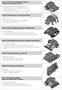 Образовательный робототехнический набор ROBOTIS STEM Lv1 (Bioloid STEM Standard) 1161524646