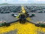 Дрон URAL-7 RX: TBS Crossfire / VTX: 1,2 GHz 1433715350