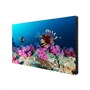 Видеостена 2x2 Eliteboard 110" PK557FFLN 336725050