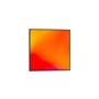 Профессиональная панель AlfaDispLay ADLDI-2250 SK 1388598161