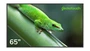 Профессиональная панель Geckotouch 65DF 977424024