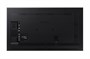Профессиональная панель Hisense 55DM66D 1763512349