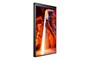 Профессиональная панель Samsung OM55N-DS 1550523377