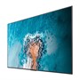 Профессиональная панель Hisense 100DM66E 802579758
