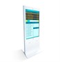 Сенсорный информационный киоск NextStand 55 Simple 1750619769