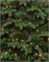 Искусственная елка Парижанка 300 см., 1030 теплых белых LED ламп, литая хвоя+ПВХ, ЕлкиТорг (138300) 144789401