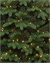 Искусственная елка Парижанка 240 см., 600 теплых белых LED ламп, Литая хвоя+ПВХ, ЕлкиТорг (138240) 779923993