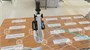 Виртуальный учебный комплекс «Наглядная биология PL-BiologyVR» Максимальная, К3 1969671577