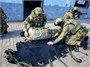 Носилки «ВОЛОКУШИ» модель №1 стандартные (без РУП и ТПТ) 1521975342