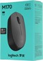 Мышь беспроводная Logitech M170, радио, оптическая, USB, 1000dpi, серый и черный [910-004646] 1891710