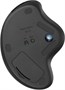 Трекбол беспроводная Logitech M575S, Bluetooth/Радио, оптическая, USB, 2000dpi, черный [910-007035] 2140228