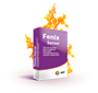Современные программные технологии Fenix Server (продление лицензии на 12 месяцев) 781224894