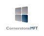 South River Technologies South River Cornerstone MFT (продление техподдержки DMZedge), Server,1Year Maintenance and Business Premium Support 1043202796