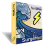 Netwin Ltd. Netwin Gold Emergency Support (подписка на 1 год) 1354637580