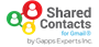 GSC Contacts for Gmail (лицензия на 1 месяц), Business 772634242