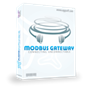 AGG Software Modbus Gateway (лицензии), версия Professional Pro 20 1003785648