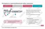 ООО «Корпоративные системы Плюс» Электронный курс Электромонтер: основы слесарно-сборочных и электромонтажных работ (лицензия), базовая версия 820265578