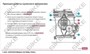 ООО «Корпоративные системы Плюс» Электронный курс Электромонтер, Основы технической механики и слесарных работ (лицензия), базовая версия 836279648