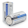 Аккумулятор для компьютерной техники GoPower Батарея Alkaline LR14 664523262