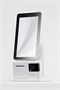 Моноблок SUNMI POS-терминал K2 mini 123600831