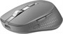 Мышь ACER OMR310 ZL.MCECC.032, цвет темно-серый 1627159904