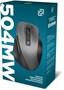 Мышь Oklick Мышь 504M 2004736, цвет серый 685369385