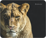 Defender Wild Animals 50803 1361457052