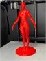 3D принтер Zenit DUO Switch 83499681
