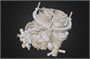 3D сканер Artec Eva Lite 778987579