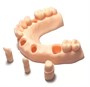 Фотополимерная смола HARZ Labs Dental Peach персиковый (1 кг) 423183832