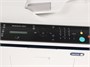 МФУ лазерное Xerox WorkCentre 3025NI 1015489
