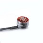Двигатель Diatone Mamba Toka 1206 2450 KV 325493870